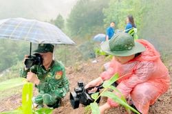 Những phóng viên áo lính