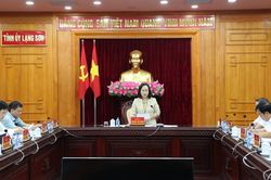 Đánh giá kết quả hoạt động của 3 ban chỉ đạo cấp tỉnh
