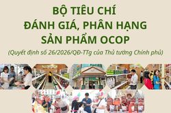 Bộ ti&ecirc;u ch&iacute; đ&aacute;nh gi&aacute;, ph&acirc;n hạng sản phẩm OCOP
