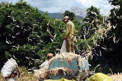 Mở hướng phát triển bền vững cho Đông Giang