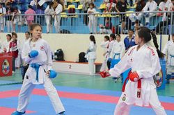 570 vận động vi&ecirc;n tranh t&agrave;i Giải V&ocirc; địch c&aacute;c c&acirc;u lạc bộ Karate L&acirc;m Đồng