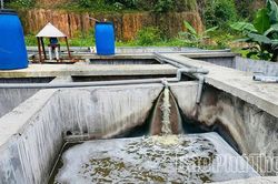 Đông Thành xử phạt doanh nghiệp chăn nuôi xả thải trái phép