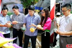 Khai mạc Tuần lễ n&ocirc;ng sản v&agrave; thực phẩm an to&agrave;n tỉnh Sơn La tại Hải Ph&ograve;ng năm 2026