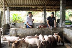 Tiếp sức ph&aacute;t triển n&ocirc;ng nghiệp, n&ocirc;ng th&ocirc;n