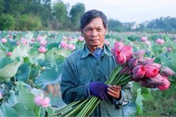 Nh&agrave; khoa học của nh&agrave; n&ocirc;ng