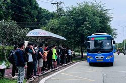 TP.HCM dự kiến miễn phí xe buýt trên 135 tuyến từ tháng 7