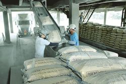 6 th&aacute;ng đầu năm 2026: Ti&ecirc;u thụ xi măng trong nước tăng 12,2% so c&ugrave;ng kỳ 2025
