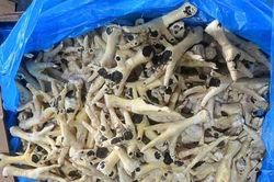 Nữ Giám đốc điều hành doanh nghiệp bán hàng nghìn tấn chân gà mốc đen ra thị trường khai gì tại cơ quan điều tra?