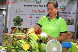 Thương hiệu và tài sản trí tuệ mở đường cho trái bưởi Đồng Nai nâng tầm giá trị