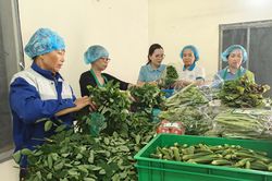 Người l&agrave;m b&aacute;o tr&ecirc;n h&agrave;nh tr&igrave;nh lan tỏa gi&aacute; trị HTX