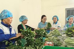 Người làm báo trên hành trình lan tỏa giá trị HTX