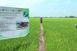 Chuyển đổi xanh – 'Chìa khóa' cho nông nghiệp bền vững