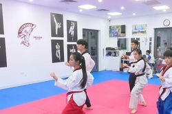 Taekwondo Hà Nội: Sức bật từ phong trào