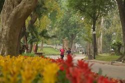 C&ocirc;ng vi&ecirc;n B&aacute;ch Thảo - Di sản xanh giữa l&ograve;ng Th&agrave;nh phố