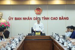 Họp trực tuyến Ban Chỉ đạo xây dựng trường học cho các xã biên giới