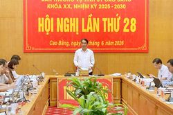 Hội nghị lần thứ 28 Ban Thường vụ Tỉnh ủy khóa XX, nhiệm kỳ 2025 - 2030