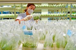 Quyết tâm bứt phá mục tiêu tăng trưởng