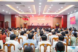 Đẩy mạnh x&acirc;y dựng cơ sở dữ liệu v&agrave; số h&oacute;a t&agrave;i liệu