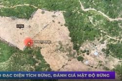 Công nghệ số mở đường cho nông nghiệp hữu cơ: Từ khảo sát thông minh đến quản trị vùng trồng