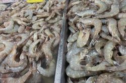 Tranh chấp thủy sản giữa Malaysia và Thái Lan sắp được tháo gỡ?