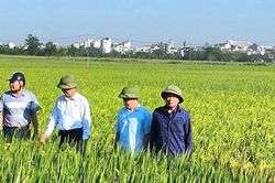 Khơi dòng nội lực trên đồng đất La Phù