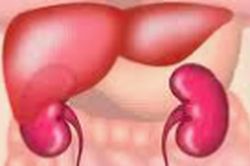 Nhận biết dấu hiệu bệnh trở nặng của xơ gan