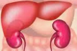 Nhận biết dấu hiệu bệnh trở nặng của xơ gan