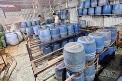Sử dụng chất cấm để sản xuất giá đỗ, gã đàn ông bị khởi tố