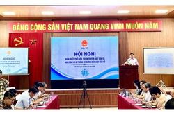 Triển khai đồng bộ Luật D&acirc;n số v&agrave; c&aacute;c văn bản hướng dẫn thi h&agrave;nh