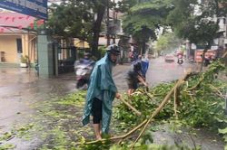 Dông lốc làm 1 người bị thương, nhiều nhà dân tốc mái ở Huế