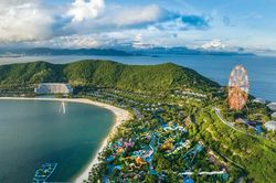 Cánh phượng hồng ngẩn ngơ…