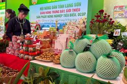 N&ocirc;ng sản Việt minh bạch nguồn gốc bước ra thị trường quốc tế