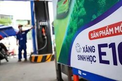 Nghị quyết 29: Cú hích giúp thị trường xăng E10 vận hành thông suốt