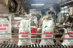 Cần sự vào cuộc đồng bộ từ nhiều phía