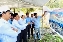 Khai phóng tiềm năng vùng Đông