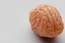 4 bí quyết cho sức khỏe não bộ