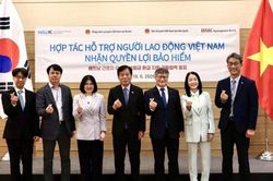 Việt Nam-H&agrave;n Quốc phối hợp hỗ trợ ho&agrave;n trả bảo hiểm cho lao động Việt
