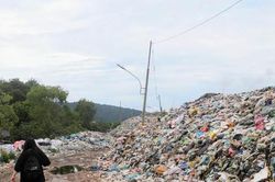 Phóng viên môi trường và những câu chuyện về 'ngôi nhà chung'