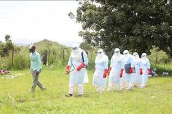 Hơn 230 người tử vong do đợt bùng phát biến thể virus hiếm gặp của bệnh Ebola