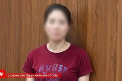Tạm giữ người phụ nữ lừa 'chạy' sổ đỏ đất nông nghiệp