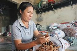 Từ củ khoai lang thành đặc sản 'hái ra tiền', cả làng thu hơn 40 tỷ đồng/năm