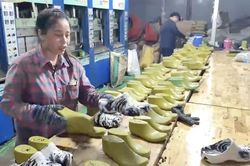 Đường d&acirc;y sản xuất d&eacute;p giả thương hiệu CROCS 'khủng', thu lợi h&agrave;ng chục tỷ đồng