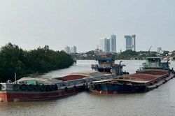Phát hiện 6 phương tiện chở cát san lấp không có nguồn gốc hợp pháp