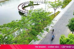 Những khoảng xanh giữa ngày hè