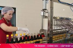 Ứng dụng khoa học, công nghệ 'nâng tầm' sản phẩm OCOP Hà Tĩnh