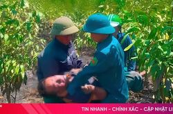 Phát hiện 2 vợ chồng tử vong khi chữa cháy rừng
