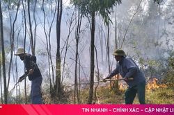Kịp thời dập tắt đám cháy rừng ở Hồng Lộc