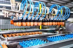 Tây Ninh nâng cao sức hấp dẫn đối với các nhà đầu tư Bỉ