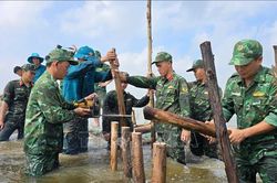 Nâng cao nhận thức cộng đồng, chủ động ứng phó thiên tai