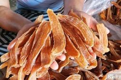 Loại đặc sản giúp cả thôn 'đổi đời', cho nguồn thu hàng chục tỷ mỗi năm